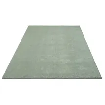 floornovo Hochflor Teppich 150 x 80 cm Grün