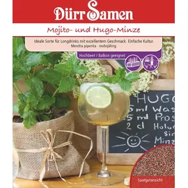 Dürr Samen Mojito- und Hugo-Minze
