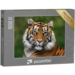 puzzleYOU Puzzle Puzzle 1000 Teile XXL „Porträt eines bengalischen Tigers“, 1000 Puzzleteile, puzzleYOU-Kollektionen Tiger, Tiere in Savanne & Wüste