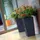 Prosperplast Urbi 49 Liter, Kunststoff, 32,5 x 32 x 61 cm Anthrazit