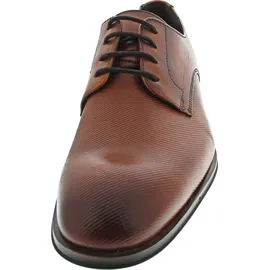 LLOYD 15-221-05 (11.5/castagno) | Braun