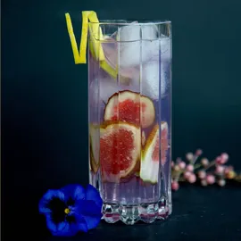 Riedel Drink Specific Highball Glas 0,31 l 2 St.