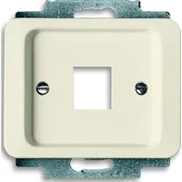 Busch-Jaeger Zentralscheibe ws 2561-22G