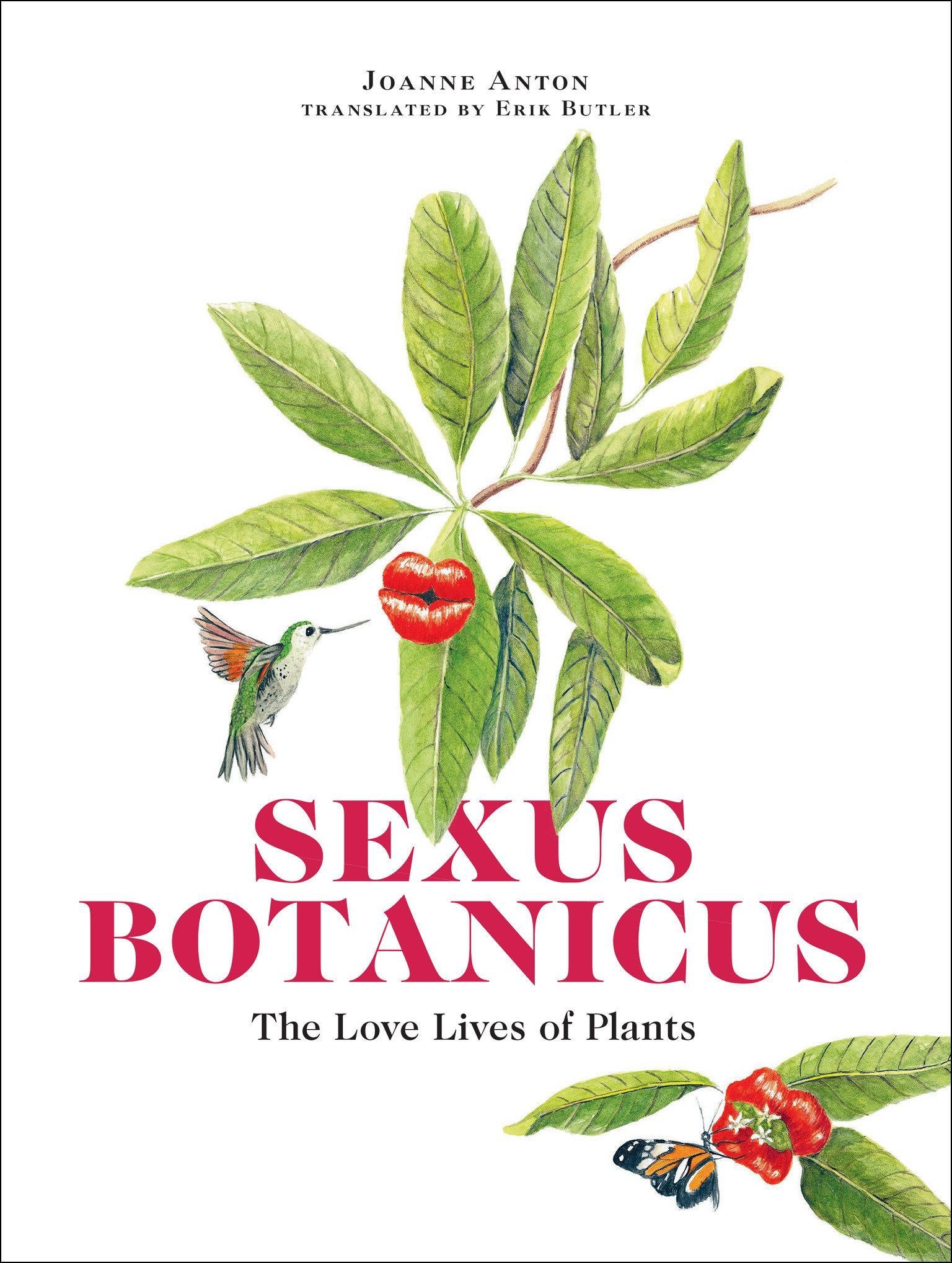 Sexus Botanicus - Joanne Anton  Taschenbuch