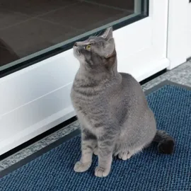 Pentatech Alarmtrittmatte Schwarz 95 dB 33620