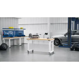 Rau Werkbank elektrisch höhenverstellbar, B2500xT900xH740-1140mm, B-Platte-40 mm