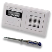 Gira Unterputz IP Internetradio 232003 + Bluetooth Komplett-Set mit Lautsprecher - System 55 - reinweiß glänzend mit 2fach Rahmen Gira 021203 inkl. EBROM Phasenprüfer zur Montage der Geräte