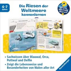 Wir entdecken Wale und Delfine