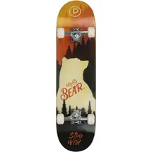Playlife Mighty Bear Mehrfarbig