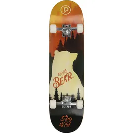 Playlife Mighty Bear Mehrfarbig