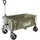 Coleman Bollerwagen Ultimate Terrain grün