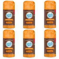 Fresh & More Lufterfrischer Nachfüller (12er Pack) 250ml, Orange
