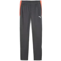 Puma IndividualLIGA Training Pants Jr shadow gray-puma white-glowing red 164
