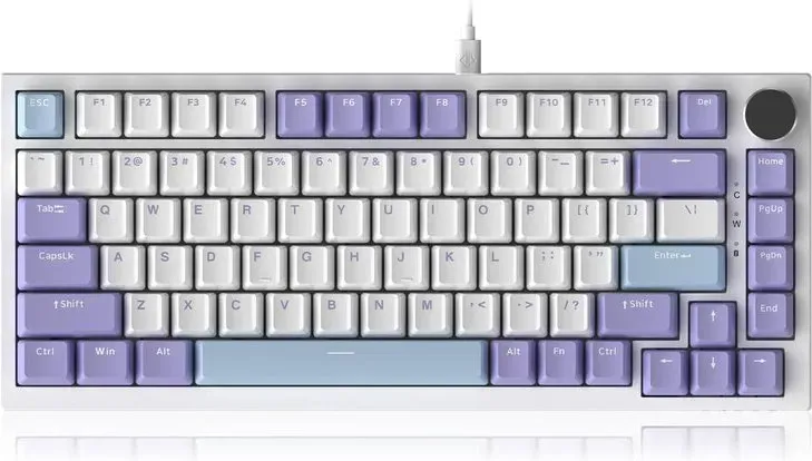 AJAZZ AK820 kabelgebundene mechanische Tastatur, 75 %-TKL, QWERTY US-Layout, Gasket Mount, Hot Swap, Joint-Mount Gaming-Tastatur, RGB-Beleuchtung, 82 Tasten mit CNC-Taste für WIN/MAC – Violett