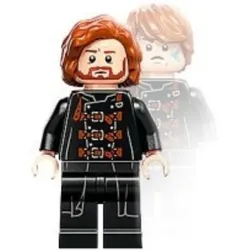 LEGO® - Harry Potter - hp447 - Dragomir Despard (Ron Weasley Transformation) (76417)