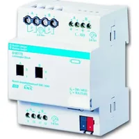 Busch-Jaeger Lichtregler 2-fach 6197/70