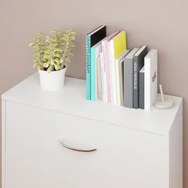 CASARIA Schuhschrank 115 x 60 x 25 cm 3 Klappen geschlossen / weiß