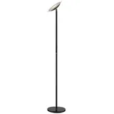 LINDBY Malea (F20824BK.FR)