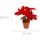 Home Styling Collection Weihnachtsstern 15 x 22 x 13 cm Rot