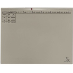 EXACOMPTA 25er-Pack Hängehefter »Exaflex« 2x Amtsheftung grau, 31.6x26.5 cm
