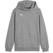 Puma teamGOAL Casuals Hoody Jr