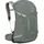 Osprey Hikelite 28 pine leaf green