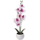 Murago - Künstliche Orchidee im Keramik Topf ca.39cm - Kunstblumen Kunstpflanzen Orchideen Innendekoration Muttertag Weiß