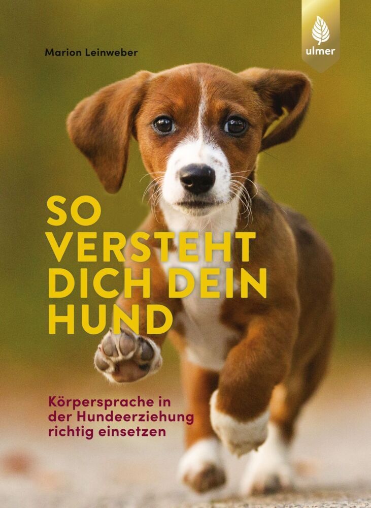 So Versteht Dich Dein Hund - Marion Leinweber  Kartoniert (TB)