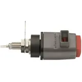 SCHUTZINGER Schützinger KSDK 7730 Ni / RT Kelvin-Schnelldruckklemme Rot