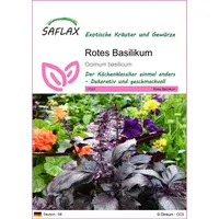 SAFLAX - Kräuter - Rotes Basilikum - 200 Samen
