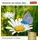 Harenberg Momente des Glücks Postkartenkalender 2026 - Wochenkalender mit Zitaten, mit 53 Postkarten: Positive Stimmung und Zufriedenheit im Postkartenformat. ... und schönen Fotos zum Sammeln und Verschicken