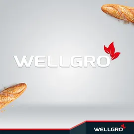 Wellgro Baguette-Blech - für bis zu 3 Baguettes - Baguetteblech mit Antihaftbeschichtung - 38,5 x 28,5 x 4 cm