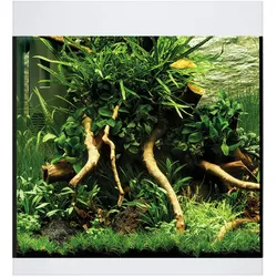 Oase StyleLine Modell 85 Aquarium weiß