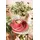 SELTMANN WEIDEN Liberty Pure Colors Kaffeeservice 18-tlg. Flamingo Red