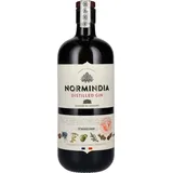 Normindia Gin Distillé 41,4% Volume 0,7l