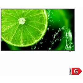 NEC MultiSync E438 43"