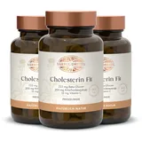 Bärbel Drexel Cholesterin Fit Presslinge 125 St.