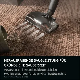 AEG Ultimate 8000 Akku-Staubsauger AP82A25SHX