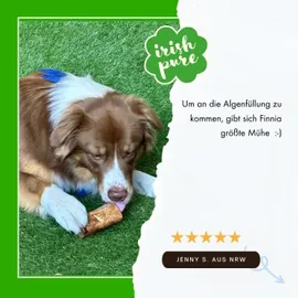 Irish Pure Filled Smoked Bone mit Kelp