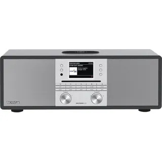 TechniSat DigitRadio 650 anthr/si DAB+/UKW/Internetradio mit