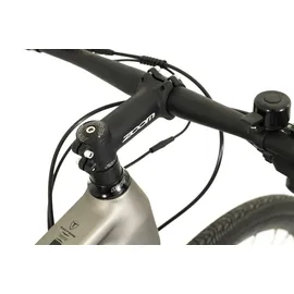 TOTEM Urban E-Bike Fitness 28 Zoll RH 51 cm Unisex platin