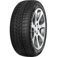 Minerva Frostrack UHP 205/45R17 88V