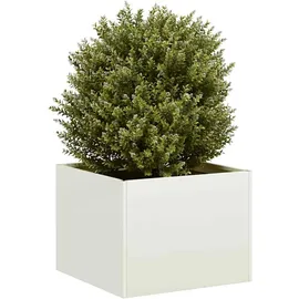 vidaXL Pflanzkübel 200 x 40 x 80 cm Weiß