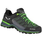 Salewa Herren MTN Trainer Lite GTX Schuhe (Größe 44.5, gruen)