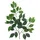 Europalms Ficuszweig Benjamina, künstlich, 12x