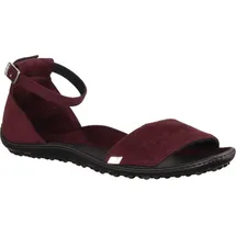 Leguano Jara bordeaux 39