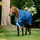 Horseware Amigo Bravo 12 Turnout Wug Medium 250g 145 cm Navy/Grau/Silber