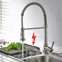 TIMACO Niederdruck Wasserhahn Küche Einhandmischer für Küchen Spüle Geschirrbrause Federbrause Mischbatterie Küchenarmatur Spültisch Armatur,Gebürsteter Nickel