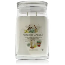 Yankee Candle Sweet Vanilla Horchata großes Glas