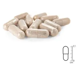 reavet Grünlippmuschel Kapseln 100 St.